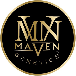 MVN Chrome Dome 1.0g PR Maven Genetics